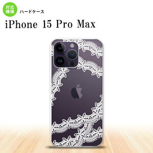 iPhone15 Pro Max iPhone15 Pro Max X}zP[X wʃP[X n[hP[X [X  B  2023N 9 nk-i15pm-1102