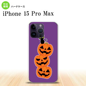 iPhone15 Pro Max iPhone15 Pro Max X}zP[X wʃP[X n[hP[X nEB J{` A  2023N 9 nk-i15pm-406