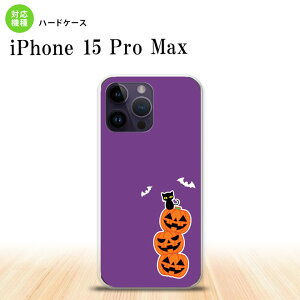 iPhone15 Pro Max iPhone15 Pro Max X}zP[X wʃP[X n[hP[X nEB J{` A   2023N 9 nk-i15pm-409
