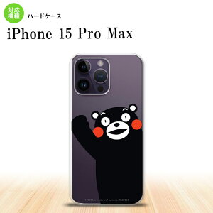 iPhone15 Pro Max iPhone15 Pro Max �X�}�z�P�[�X �w�ʃP�[�X �n�[�h�P�[�X ���܃��� �n���[ �� 2023�N 9������ nk-i15pm-km08