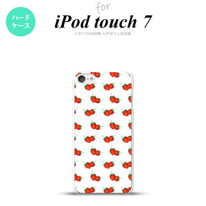 iPod touch 7 P[X 6 n[hP[X  C`S    nk-ipod7-043