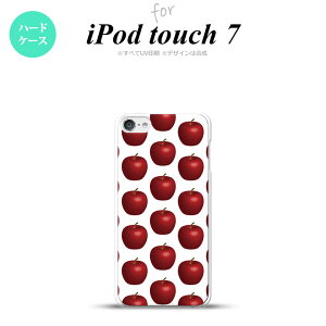 iPod touch 7 P[X 6 n[hP[X  ь   nk-ipod7-046