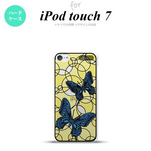 iPod touch 7 6 wʃP[X Jo[ XehOX  u[CG[ XehOX nk-ipod7-sg28
