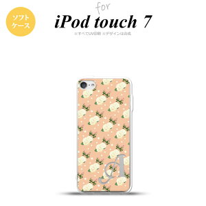 iPod touch 7 P[X 6 \tgP[X ԕ o hbg CgT[ +At@xbg nk-ipod7-tp245i