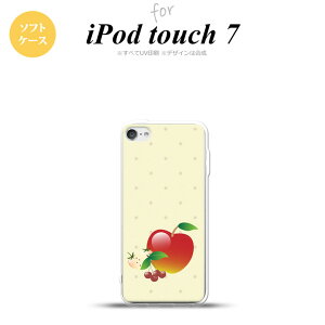 iPod touch 7 P[X 6 \tgP[X t[c Abv  nk-ipod7-tp651