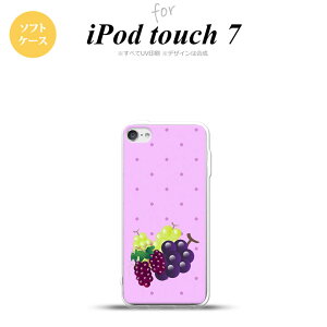 iPod touch 7 P[X 6 \tgP[X t[c O[v  nk-ipod7-tp653