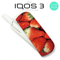 楽天市場】いちごアイコスの通販 