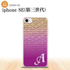 iPhoneSE 3 iPhoneSE 3 X}zP[X \tgP[X Cg   +At@xbg Y fB[X nk-ise3-tp1711i