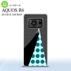 SH-51B AQUOS R6 AQUOS R6 X}zP[X n[hP[X ͂  Y fB[X nk-r6-1346