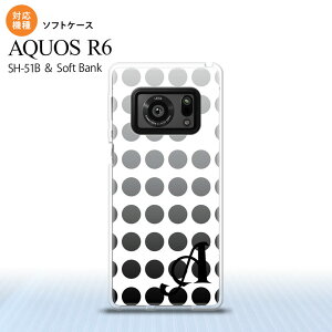 SH-51B AQUOS R6 AQUOS R6 X}zP[X \tgP[X   +At@xbg Y fB[X nk-r6-tp1375i