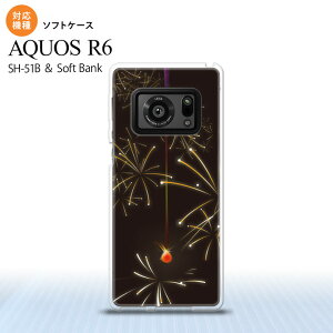 SH-51B AQUOS R6 AQUOS R6 X}zP[X \tgP[X ԉ ԉ  Y fB[X nk-r6-tp321