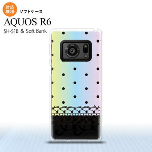 SH-51B AQUOS R6 AQUOS R6 X}zP[X \tgP[X hbg [X B pXe Y fB[X nk-r6-tp357