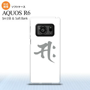 SH-51B AQUOS R6 AQUOS R6 X}zP[X \tgP[X  TN  Y fB[X nk-r6-tp581