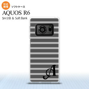 SH-51B AQUOS R6 AQUOS R6 X}zP[X \tgP[X {[_[ O[ +At@xbg Y fB[X nk-r6-tp704i