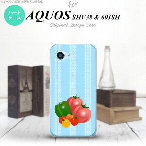 ySHV38zyX}zP[X/X}zJo[zyANIX ZG ~jzSHV38 X}zP[X AQUOS SERIE mini SHV38 Jo[ ANIX ZG ~j g}g nk-shv38-666y[֑z