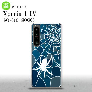 SO-51C SOG06 XPERIA 1 IV Xperia 1 IV �w�ʃP�[�X �J�o�[ �X�e���h�O���X�� ������� �w偂̑� B �u���[ �X�e���h�O���X�� ���킢�� ������� �w�ʃP�[�X nk-xp14-sg27