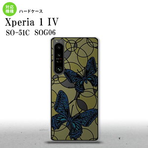 SO-51C SOG06 XPERIA 1 IV Xperia 1 IV �w�ʃP�[�X �J�o�[ �X�e���h�O���X�� ������� �� �u���[�C�G���[ �X�e���h�O���X�� ���킢�� ������� �w�ʃP�[�X nk-xp14-sg28