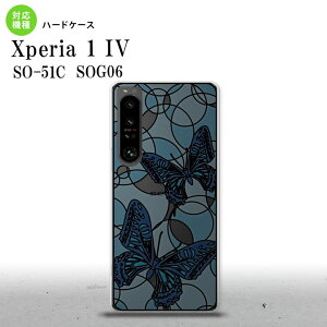 SO-51C SOG06 XPERIA 1 IV Xperia 1 IV �w�ʃP�[�X �J�o�[ �X�e���h�O���X�� ������� �� �u���[ �X�e���h�O���X�� ���킢�� ������� �w�ʃP�[�X nk-xp14-sg29