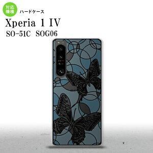 SO-51C SOG06 XPERIA 1 IV Xperia 1 IV �w�ʃP�[�X �J�o�[ �X�e���h�O���X�� ������� �� �z���C�g�u���[ �X�e���h�O���X�� ���킢�� ������� �w�ʃP�[�X nk-xp14-sg33