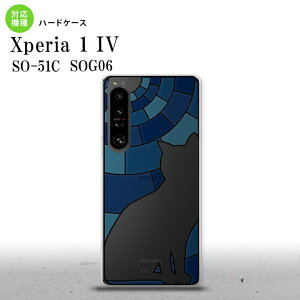 SO-51C SOG06 XPERIA 1 IV Xperia 1 IV �w�ʃP�[�X �J�o�[ �X�e���h�O���X�� ������� �L �u���[ �X�e���h�O���X�� ���킢�� ������� �w�ʃP�[�X nk-xp14-sg38