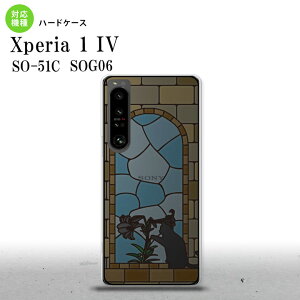 SO-51C SOG06 XPERIA 1 IV Xperia 1 IV �w�ʃP�[�X �J�o�[ �X�e���h�O���X�� ������� �L �X�e���h�O���X�� ���킢�� ������� �w�ʃP�[�X nk-xp14-sg40