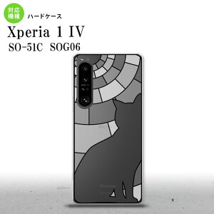 SO-51C SOG06 XPERIA 1 IV Xperia 1 IV �w�ʃP�[�X �J�o�[ �X�e���h�O���X�� ������� �L �z���C�g �X�e���h�O���X�� ���킢�� ������� �w�ʃP�[�X nk-xp14-sg52