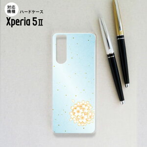 Xperia5 II 5G �P�[�X �n�[�h�P�[�X �X�}�z�P�[�X �X�g���b�v�z�[���L �a�� �T�N�� �� nk-xp52-1275