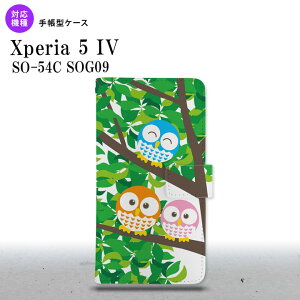 Xperia 5IV Xperia5IV 蒠^X}zP[X Jo[ tNE 2022N 10 nk-004s-xp54-dr1093