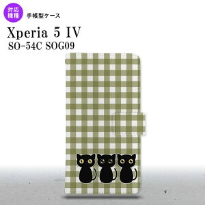 Xperia 5IV Xperia5IV 蒠^X}zP[X Jo[ L CXg  2022N 10 nk-004s-xp54-dr1141