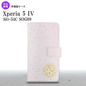 Xperia 5IV Xperia5IV 蒠^X}zP[X Jo[ a TN sN 2022N 10 nk-004s-xp54-dr1271