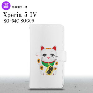 Xperia 5IV Xperia5IV 蒠^X}zP[X Jo[ L N  2022N 10 nk-004s-xp54-dr140