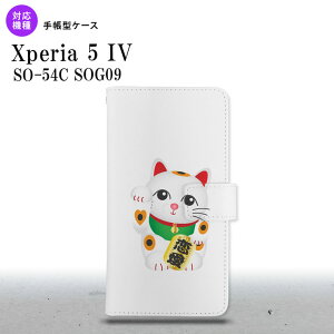 Xperia 5IV Xperia5IV 蒠^X}zP[X Jo[ L   2022N 10 nk-004s-xp54-dr143