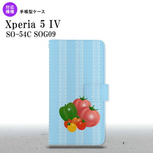 Xperia 5IV Xperia5IV 蒠^X}zP[X Jo[ xW^u g}g 2022N 10 nk-004s-xp54-dr666