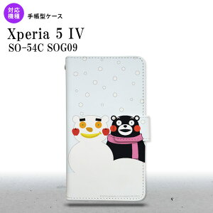 Xperia 5IV Xperia5IV 蒠^X}zP[X Jo[ ܃ ~ 2022N 10 nk-004s-xp54-drkm05