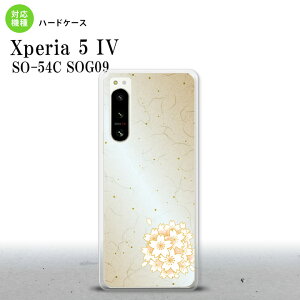 Xperia 5 IV Xperia5 IV �X�}�z�P�[�X �w�ʃP�[�X �n�[�h�P�[�X �a�� �T�N�� �� 2022�N 10������ nk-xp54-1272