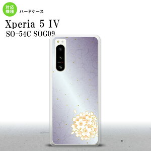 Xperia 5 IV Xperia5 IV �X�}�z�P�[�X �w�ʃP�[�X �n�[�h�P�[�X �a�� �T�N�� �� 2022�N 10������ nk-xp54-1274