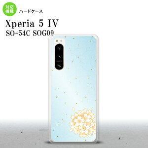 Xperia 5 IV Xperia5 IV �X�}�z�P�[�X �w�ʃP�[�X �n�[�h�P�[�X �a�� �T�N�� �� 2022�N 10������ nk-xp54-1275