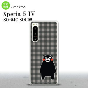 Xperia 5 IV Xperia5 IV X}zP[X wʃP[X n[hP[X ܃ `FbN O[ 2022N 10 nk-xp54-km19