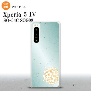 Xperia 5IV Xperia5IV �X�}�z�P�[�X �w�ʃP�[�X�\�t�g�P�[�X �a�� �T�N�� �� 2022�N 10������ nk-xp54-tp1276