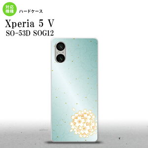 Xperia 5V Xperia 5V �X�}�z�P�[�X �w�ʃP�[�X �n�[�h�P�[�X �a�� �T�N�� �� 2023�N 10������ nk-xp55-1276