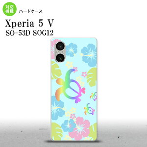 Xperia 5V Xperia 5V �X�}�z�P�[�X �w�ʃP�[�X �n�[�h�P�[�X �z�k �n�C�r�X�J�X ���F 2023�N 10������ nk-xp55-684