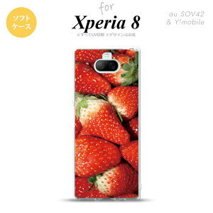 Xperia 8 SOV42Jo[ P[X \tgP[X  C`S ʐ^  Y fB[X LbY Xgbvz[  킢  nk-xp8-tp040