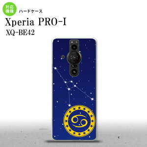 XperiaPRO-I Xperia PRO-I �X�}�z�P�[�X �w�ʃP�[�X �n�[�h�P�[�X ���� ���ɍ� �w�ʃJ�o�[ android nk-xproi-844