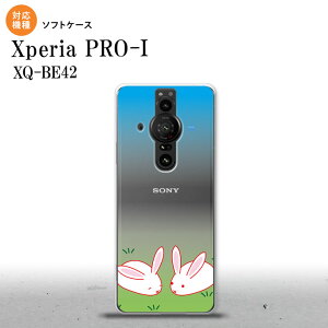 Xperia PRO I Xperia PRO-I �X�}�z�P�[�X �w�ʃP�[�X�\�t�g�P�[�X �E�T�M �w�ʃJ�o�[ android nk-xproi-tp865