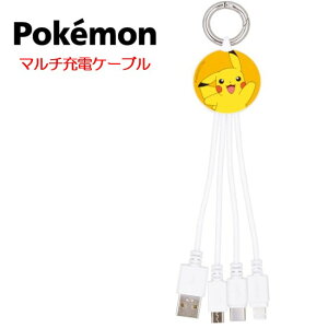 |PbgX^[ |P }`[dP[usJ`E U[h ^ ~~bL P[u Lightning Type-C microUSB Type-A iPhone iPad Xperia AQUOS Galaxy Google Pixel [d 3in1 ֗ RlN^ 