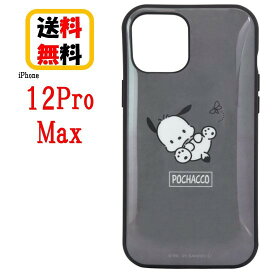 サンリオキャラクターズ iPhone 12Pro Max スマホケース IIIIfi+ イーフィット SANG-61PC ポチャッコiPhoneケース 耐衝撃 iPhone12ProMax iPhone12ProMaxケース アイフォンケース アイフォン スマホ ケース 携帯 キャラクター