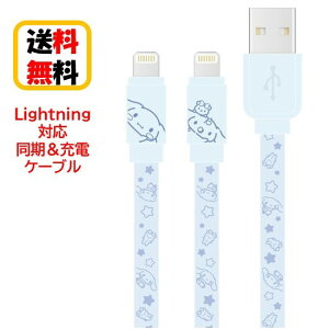 TI LN^[Y Lightning P[u [dP[u SANG-303CN Vi[iPhone iPhoneP[u iPad iPadP[u iPod iPodP[u LightningP[u o[Vu f[^] [d  t