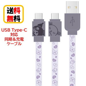 TI LN^[Y USB Type-C P[u [dP[u SANG-304KU N~ android androidP[u USBType-CP[u ^CvC AQUOS Galaxy Xperis o[Vu f[^] [d  tbgP[u