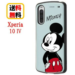 fBYj[LN^[ Xperia 10 IV ϏՌnCubhP[X ~bL[}EX ProCa RT-RDXP10M4AC3/MK2 Xperia 10 IVP[X GNXyA X}z P[X GANbV LN^[P[X  