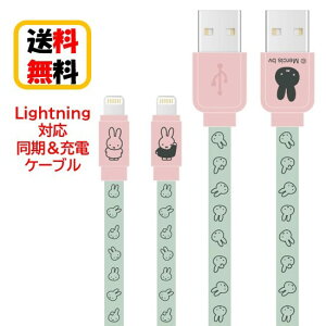 ~btB[ Lightning P[u [dP[u MF-387B ~btB[ iPhone iPhoneP[u iPad iPadP[u iPod iPodP[u LightningP[u o[Vu f[^] [d  tbgP[u 